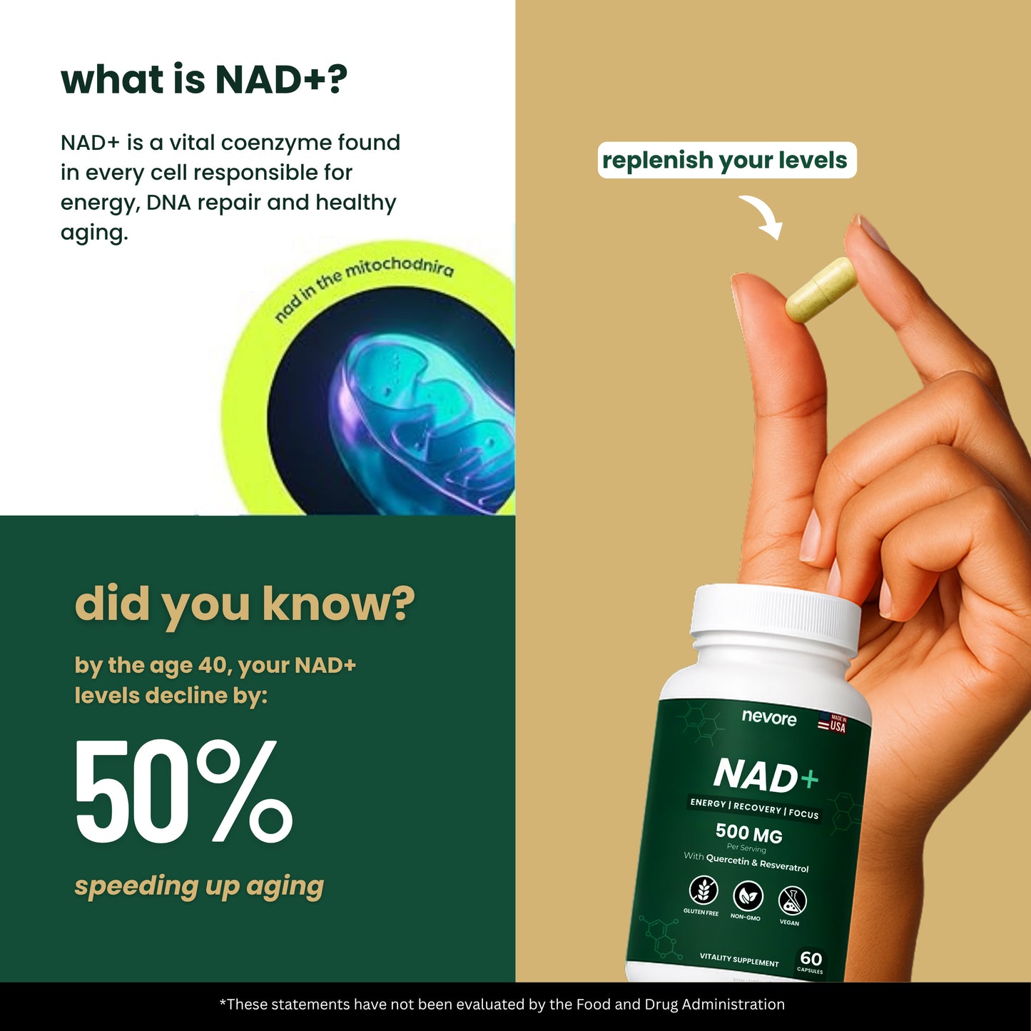 Pure NAD+ Supplement | Clinically Proven to Boost NAD+ Levels Up To 67%