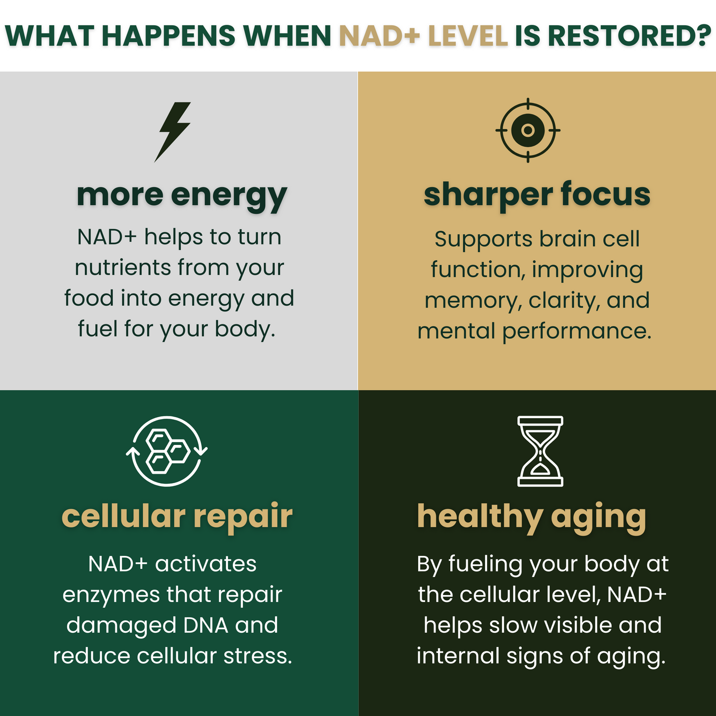 Pure NAD+ Supplement | Clinically Proven to Boost NAD+ Levels Up To 67%